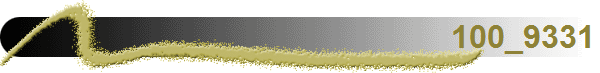 100_9331