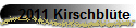 2011 Kirschblte