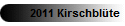 2011 Kirschblte