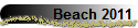 Beach 2011