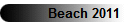 Beach 2011