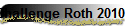 Challenge Roth 2010