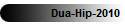 Dua-Hip-2010
