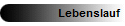 Lebenslauf