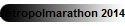Metropolmarathon 2014