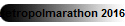 Metropolmarathon 2016