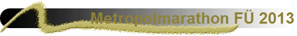 Metropolmarathon F 2013