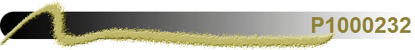 P1000232