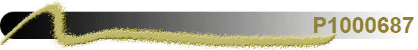 P1000687