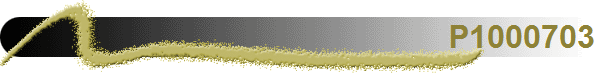 P1000703