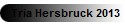 Tria Hersbruck 2013